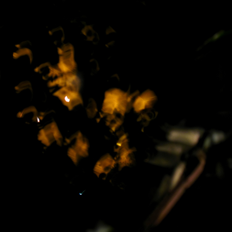 Blur Project_©LaurentKaeser_458x458_13