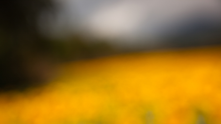 Blur Project_©LaurentKaeser_900x506_20