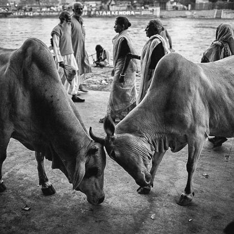 Inde 1997_©LaurentKaeser_458x458_01